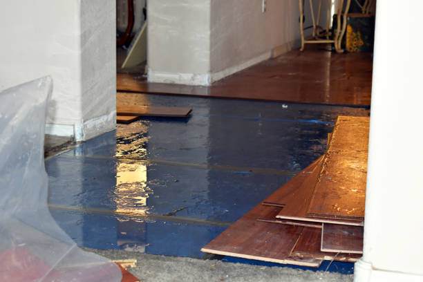 Professional Basement Water Removal technician working in Pisgah, AL